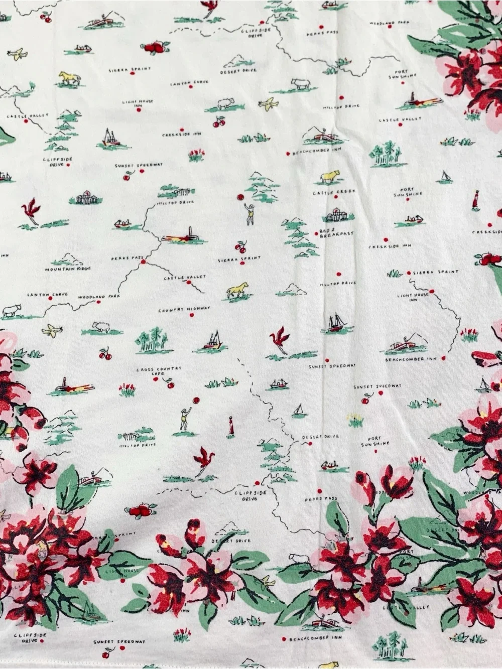 J Crew New Broken-in jersey relaxed-fit map graphic T-shirt short sleeve floral